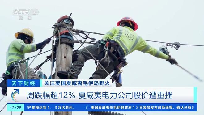 满街木头杆？专家：你以为美国不想吗？凯发k8登录中国电线杆用水泥而美国(图3)